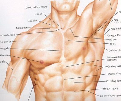 Phẫu thuật nâng ngực cho nam giới bằng phương pháp đặt túi ngực